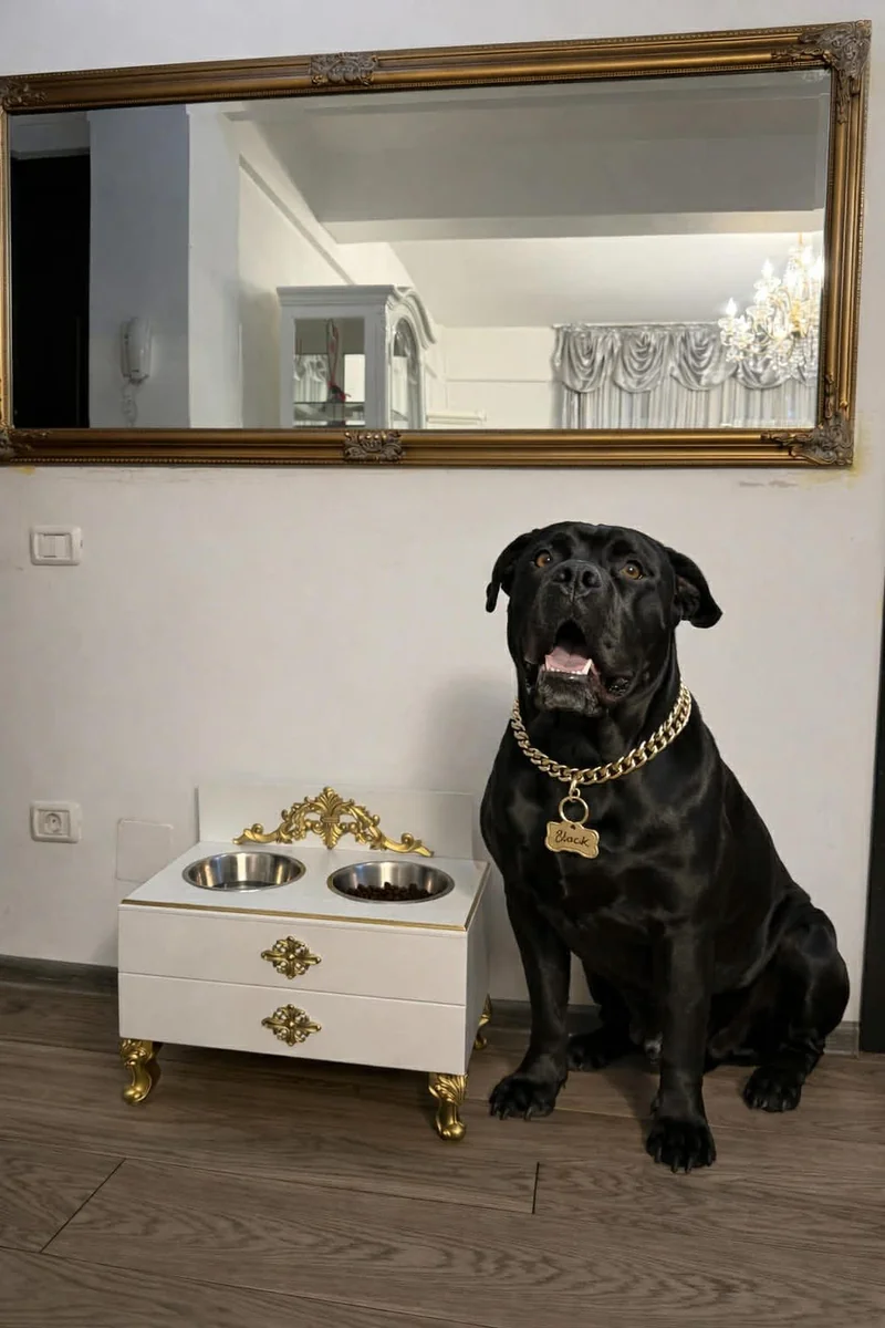 câine lângă boluri ridicate pentru câini cu suport MDF alb și ornamente aurii Vila Home Design